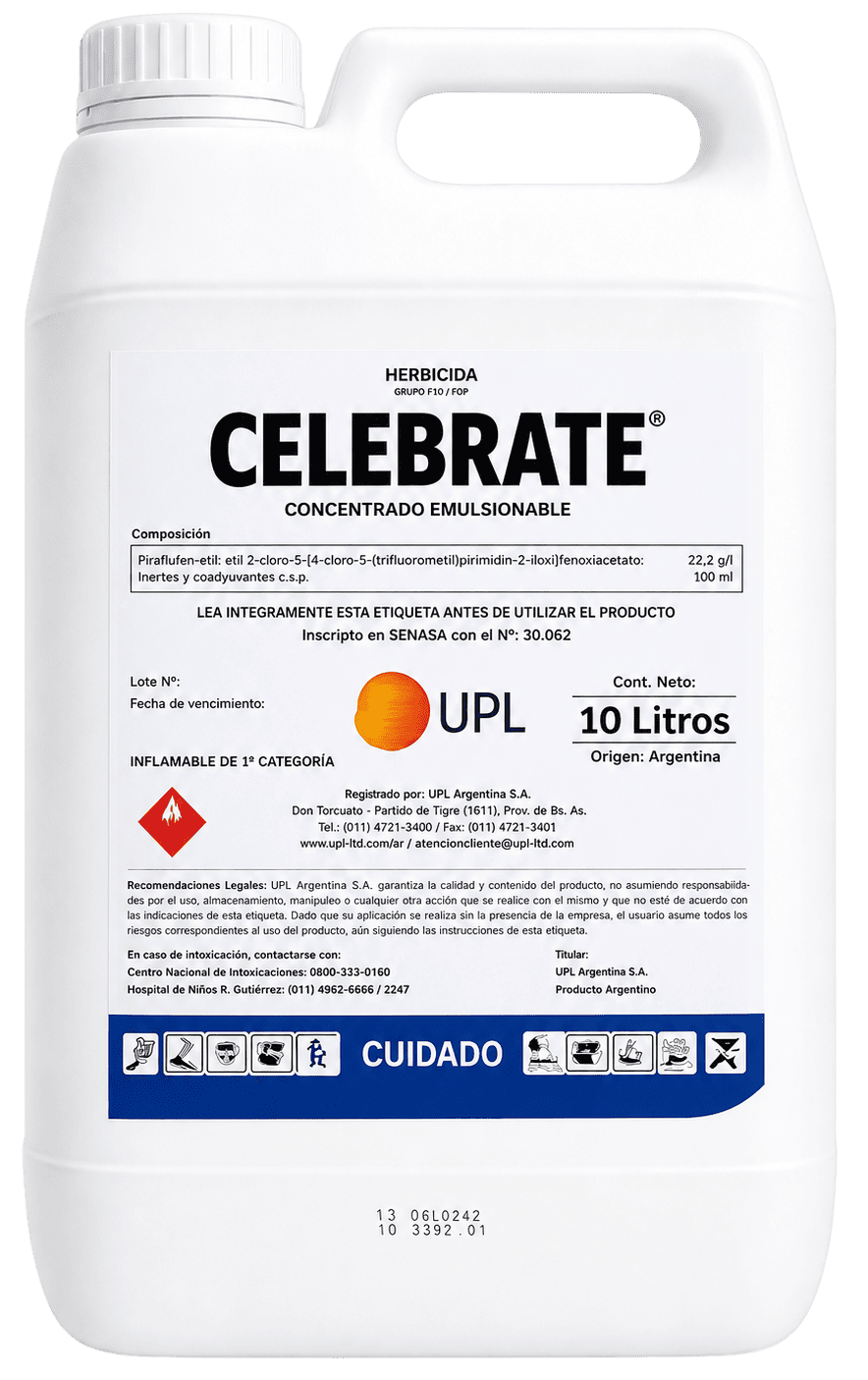 CELEBRATE